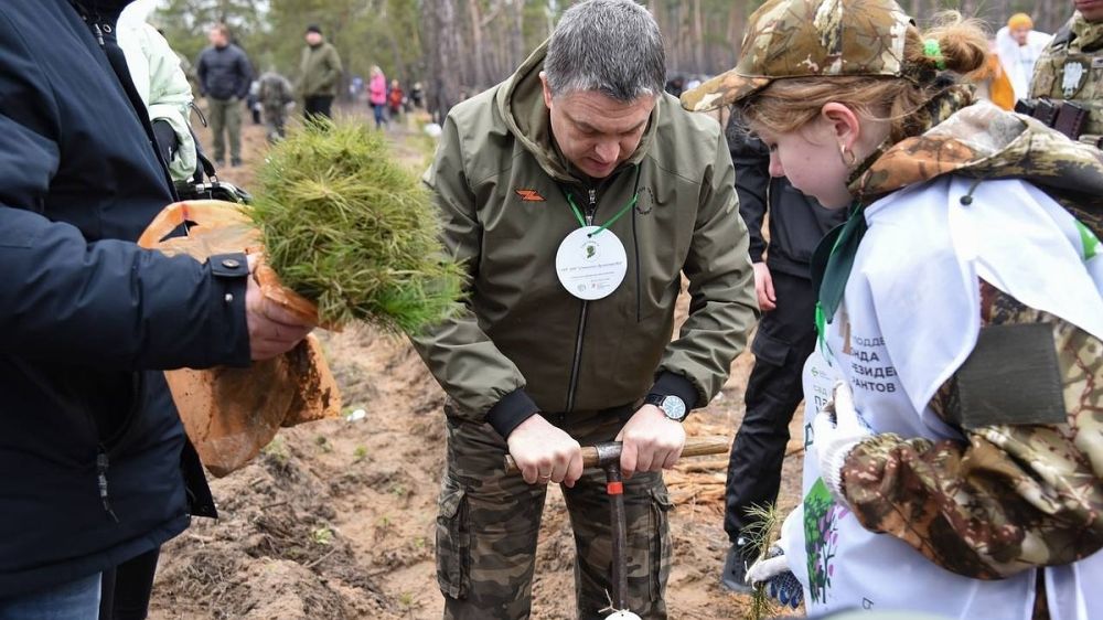 � ��� �������� 12 ����� ������� �����