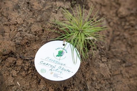 �������� � ���� ����� "��� ������" �������� ������ ������� ����, ��������� �� �������