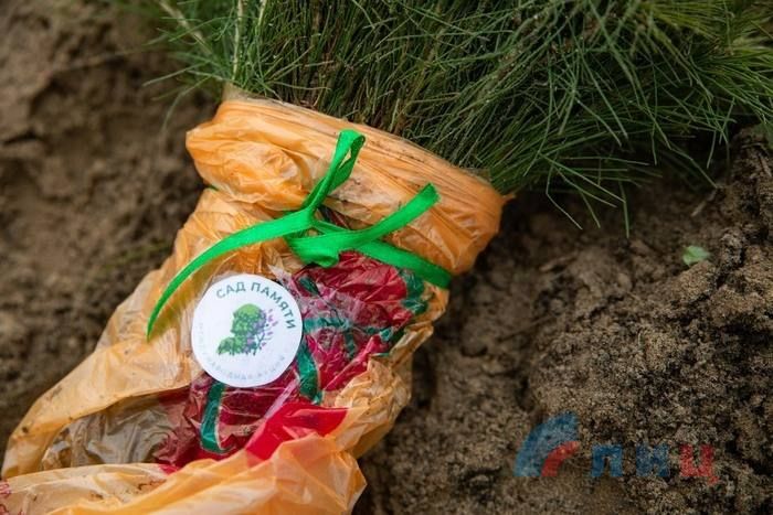 �������� ����������� ����������� ����� ��� ������ �������� � ������� �� �� ���������� ����� ��� ������� ������� � �������� ���� "��������� ������" ������ ���� �������� ��������-���������� ������