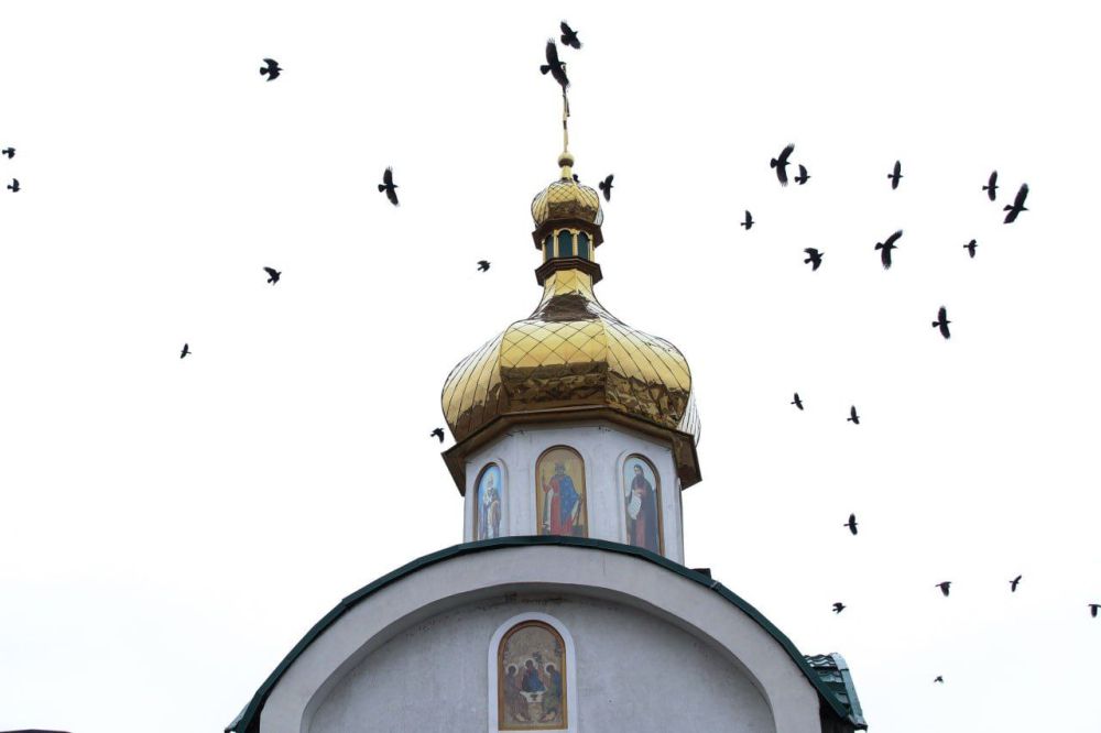 ����� ������ �� ���� � ������������ ������������� ��� ��������� � ������� ��������