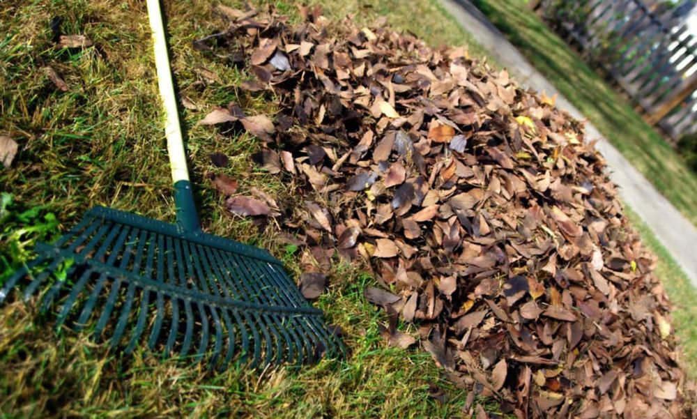 ���������� �������� ������� 45 ���� ������ �� ������