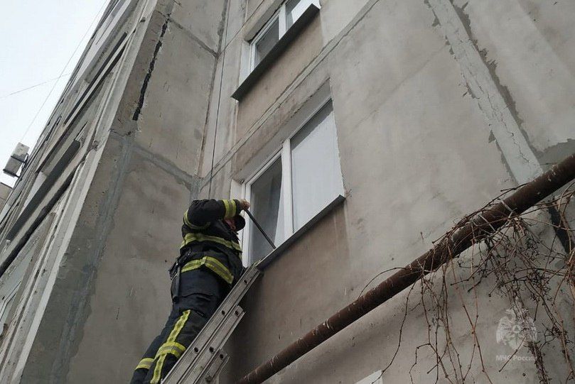 � �������� ��������� ������� ����� ��������, � ������� �������� �������� 5-������ �������