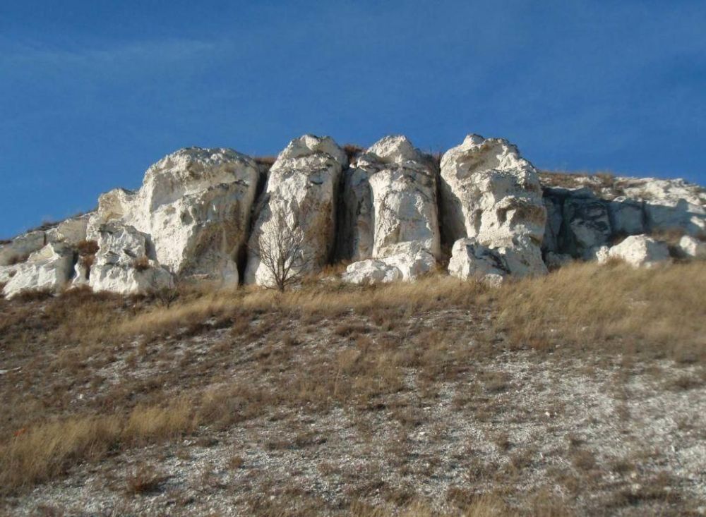 �� ���������� �����:. @NSDVLuganske