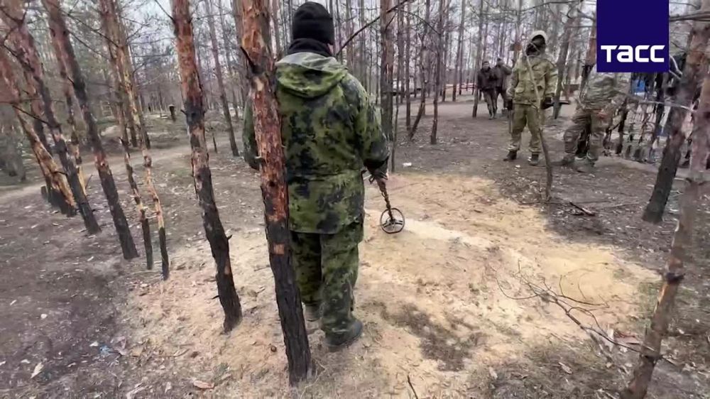 ������� 49 ������� ��������� �� ��������� ����������� �� ���������� ��������� �������� ���������� � ������� ����, �������� 17 �������� ��� �����������