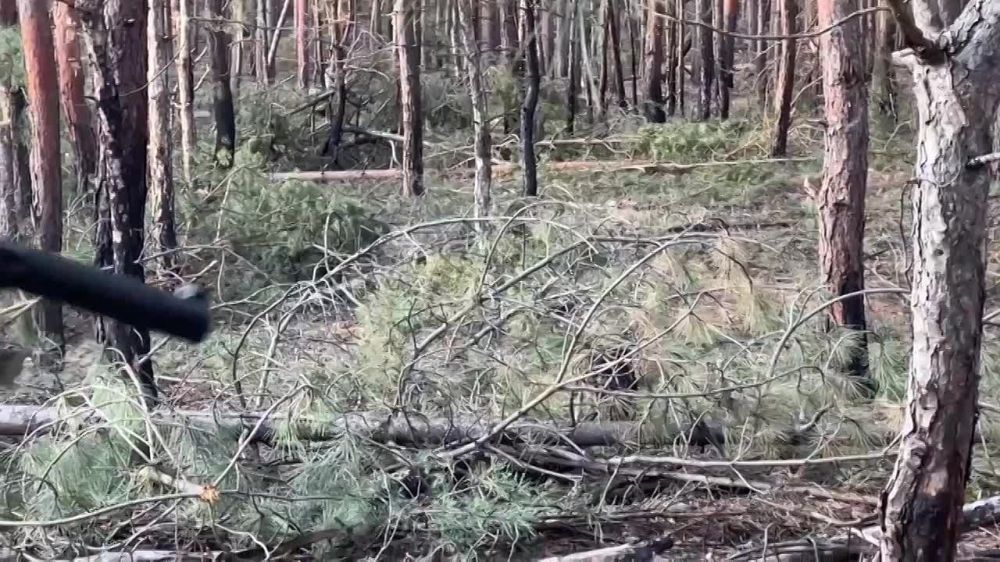 ���������� �� ������� �������� ����������� ����� ����������� ��� ������� �� ����� �������� 1�59 "�������" ���������� ������������ �������� ������