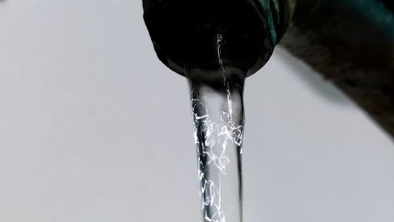 ����������� ������������ � ����� � ������ ���� � �������� ��� 22 �����