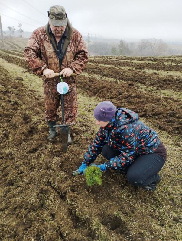 �� ���������� ����������� ����������� ��� ��� ����������� ������������� ��������� � ������ ������������� ����� ���� ������ �������� 6,6 ���. ��. ������� ����� �������� �� �������, ������������ �� ������ �������� 2014 ����