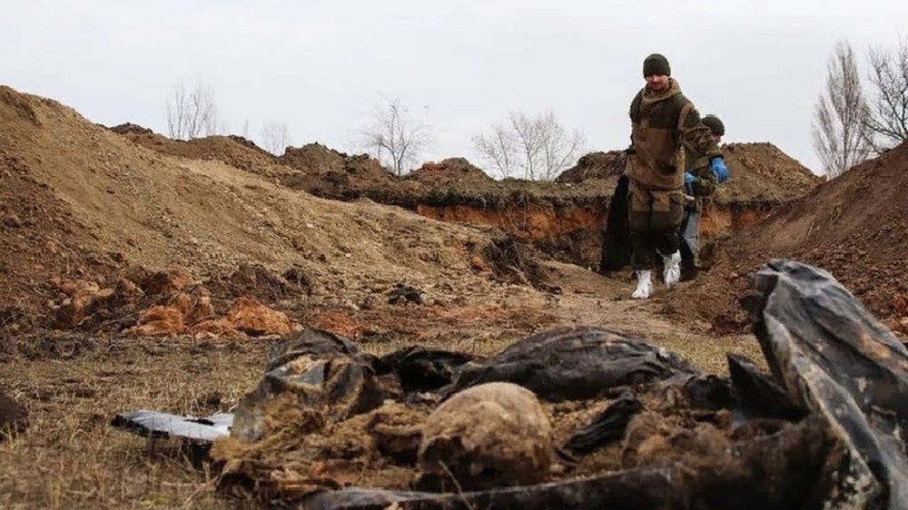 ������� �������� ����� 3 ����� ������������ ��� ������������� �������� ��� �� ���� ��������� ����������� � ��������