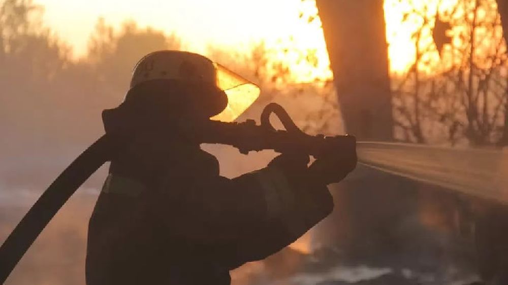 � ������������ ����� � ��� ����������� ���������� ����������� �������