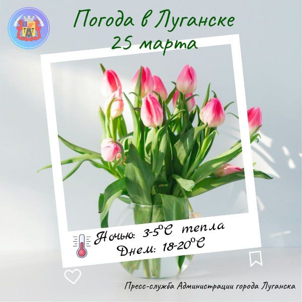 #������� #�������_�������� #������_�_��������