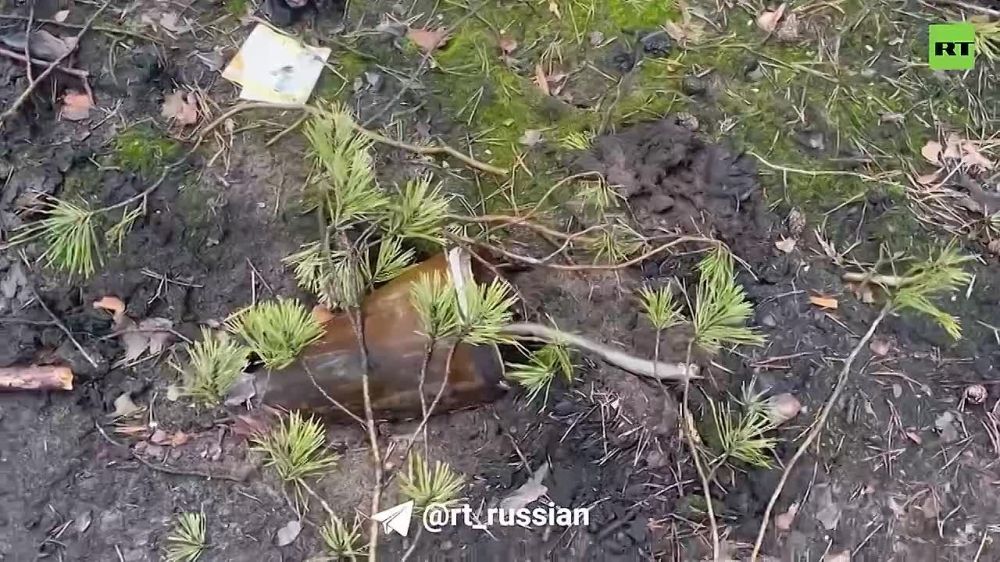 �������� ��� ���������: ��� ��������� (���) ������� RT �������� ������� ������ 331-�� ����� ��� ������ � ���������� � �������� ������.