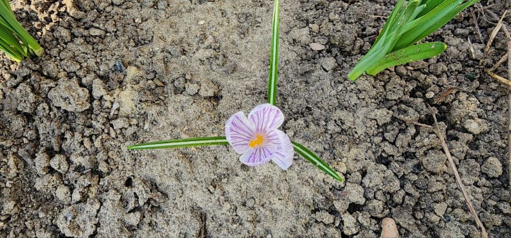 ������ �������: �������. �����.. @marochkolive