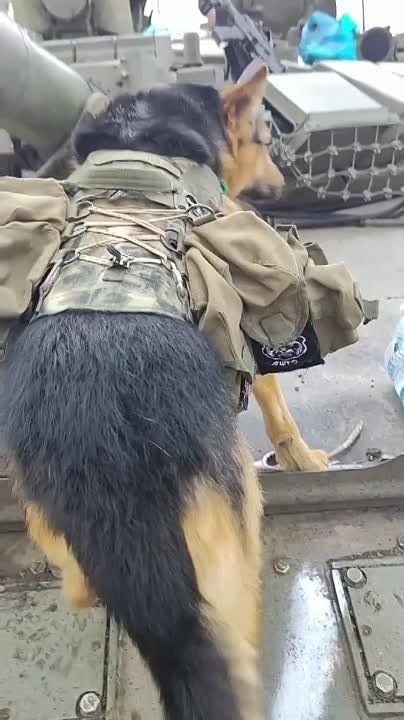 �����������, ��� �� �� ������ ������ � �������� �������� 155-� ����������� ������� �������������� �����