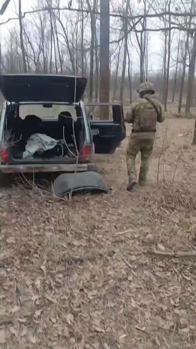 �������� �������� ������ � ������� ������� ��� ��������