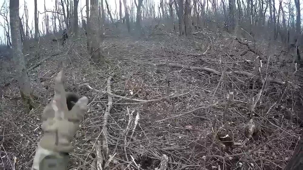 ��������������� ������� ����� �� �������-��������� �����������