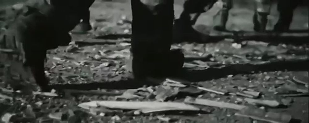 �� ���������� �����:. @NSDVLuganske