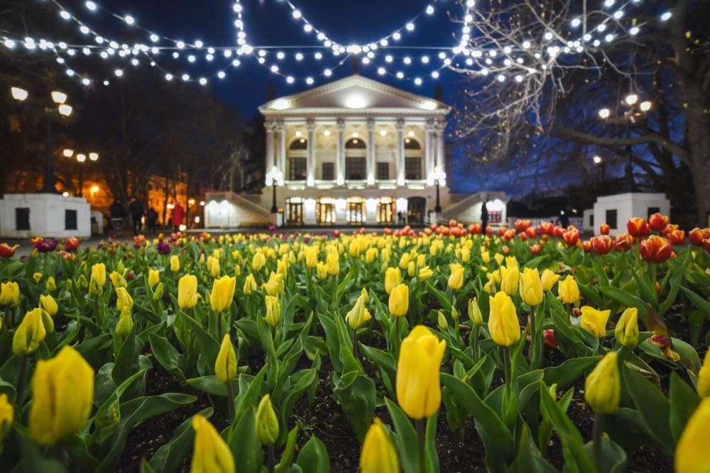 ������ ���������: ������� �������������! ���������� ��� � ���� ��������� ��������!