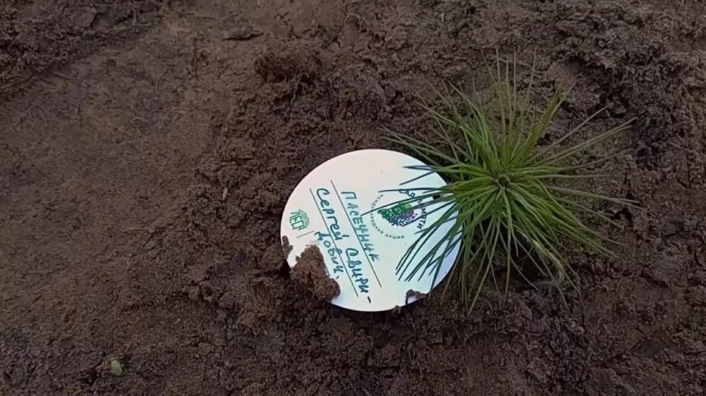 � ������ ������� ������� ������ ������ ������� ������� ���������� ������������� ������������� ����� ���� ������, ������������ �� ��� ������