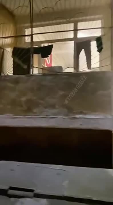 ������, ��. �������������