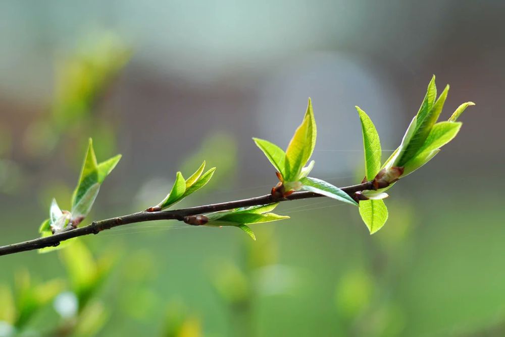 �������������� � ������ ����� �� ��������������� ����� ������� 900 ���������� ������