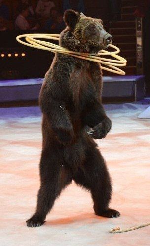 �� ���������� �����:. @NSDVLuganske