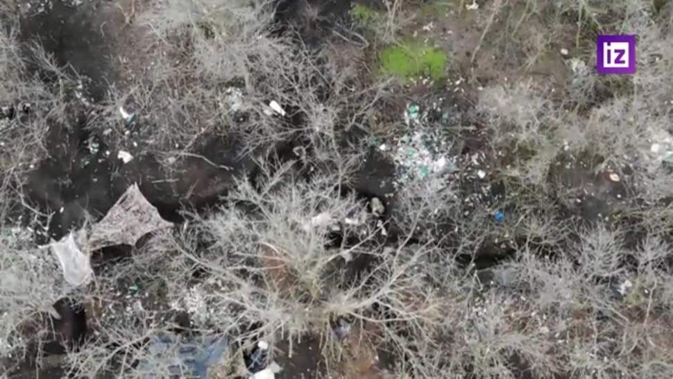 ������� ������� ��������� � ����������� ��� �������� � ����������� �� ������������