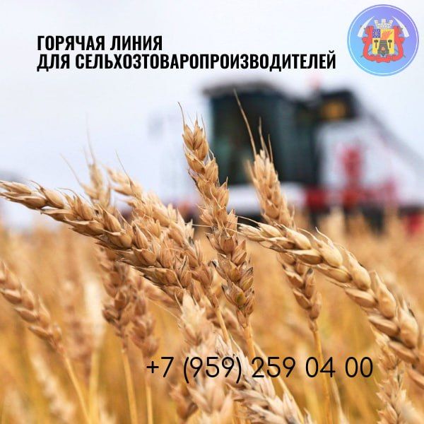 ���������� ��� ������� ������ ������ ������� ����� ��� ���������������������������