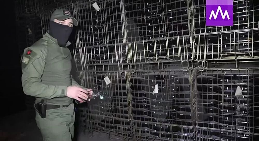 ��� ����������� �������� �� ��������� ����, ������ ������ � ������������