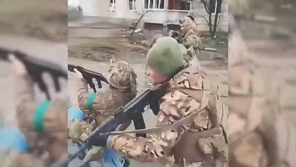 ���������� ������ ��������� �������� �� ������� �� ���������� �������� 24� ��������� ��� � ��������� ������������, ������� � ���������������, ������������ ��������� �� �������