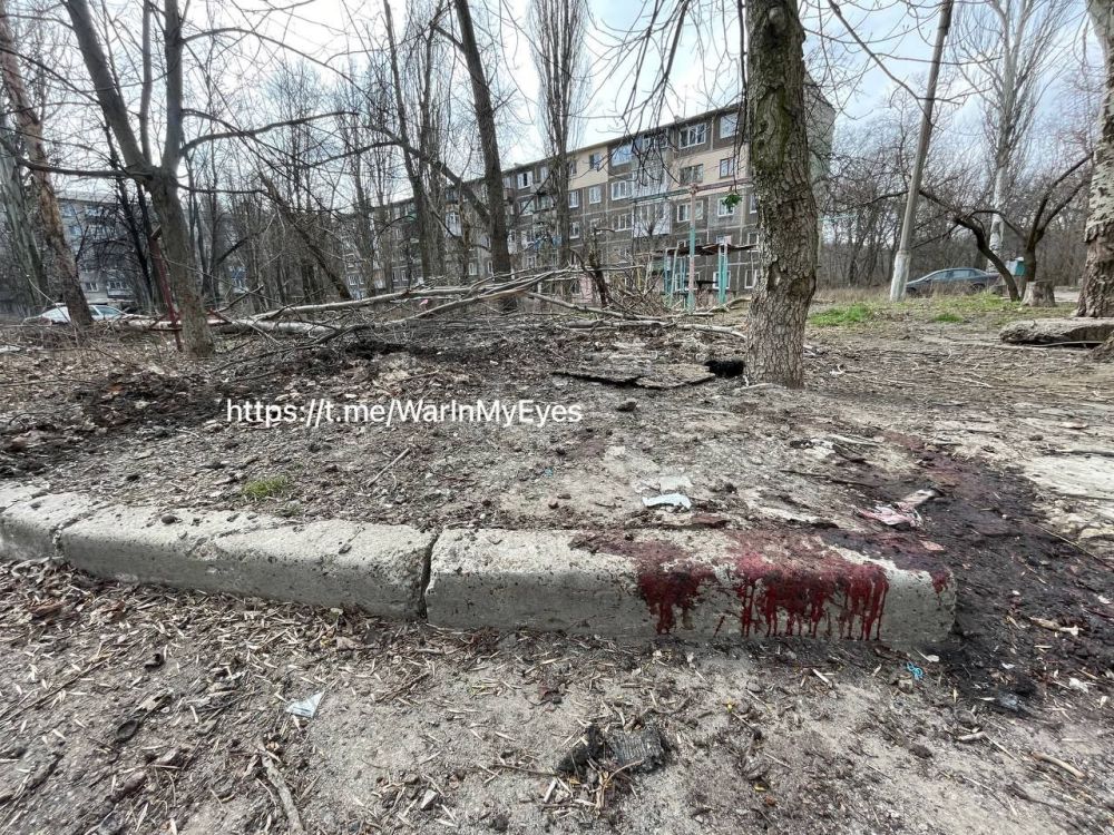 ������������ ����� �������