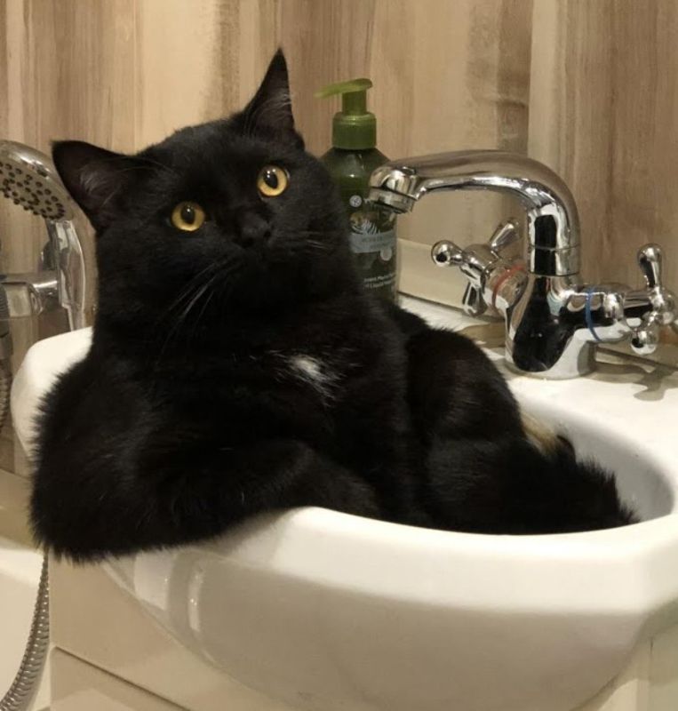 ������������� �������� ������� �� � ������� �������� ������������ ������ �����