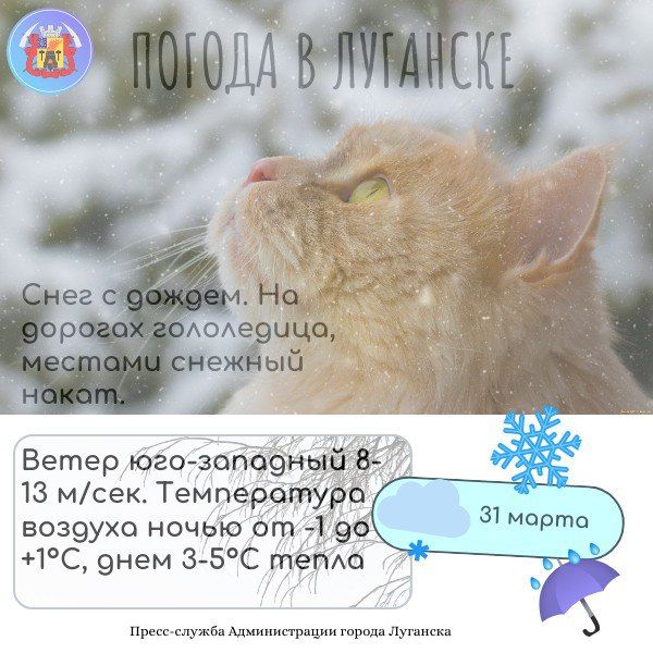 #������� #�������_�������� #������