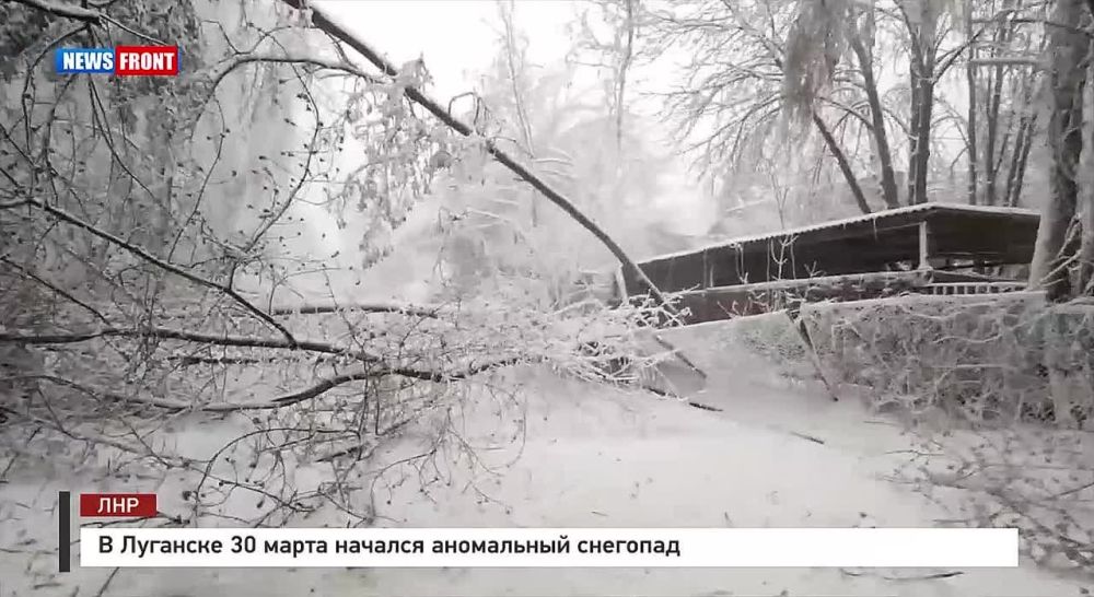 � �������� 30 ����� ������� ���������� ��������