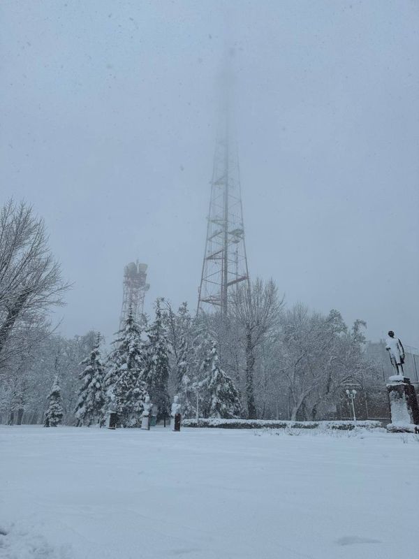 ��� ��� ������ � �������� ��� � 3 ����� ���