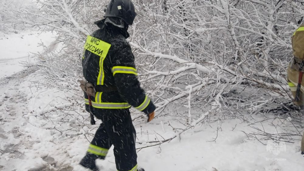 ��������� ���������� ��������� ����������� ��������