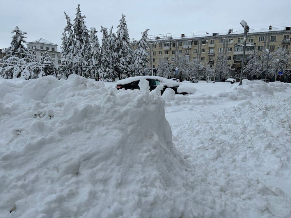 ����� �������� ������� �����