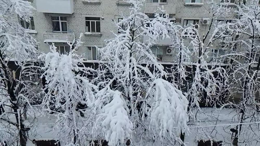 ������ �������: 31.03.2023. ������� ����������� �� ���������. � ����������� ������� ��� ����� � ���������. �������� �������, �������� �������. ������������� � ��������-������������ ������ ������ ��� ��� �����, �� ������ �� �� ���� ����