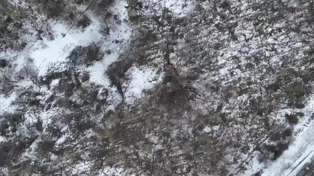 � ������ �� ������ �������-��������� ��� ��� ������ �� ������������ ������� ��������� � ������������ �������� ������ ����� �������� � ������ � ���������� �������