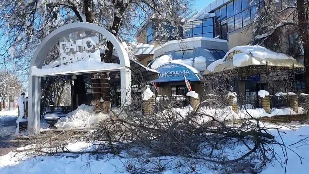 ����� �������� �������