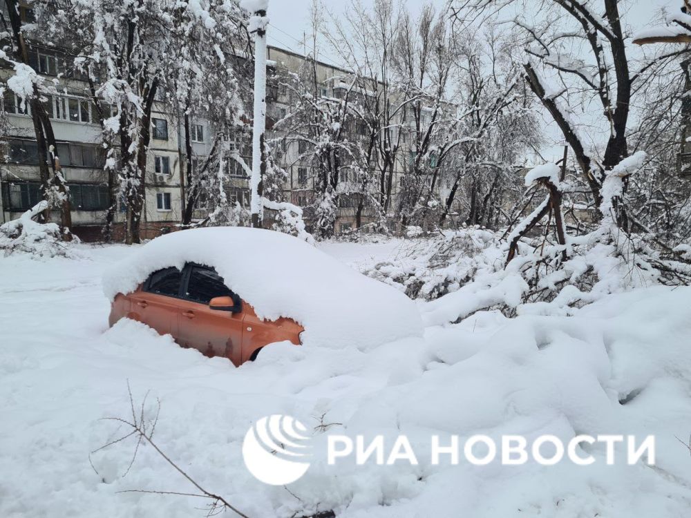 ������� ����� �������� ���������