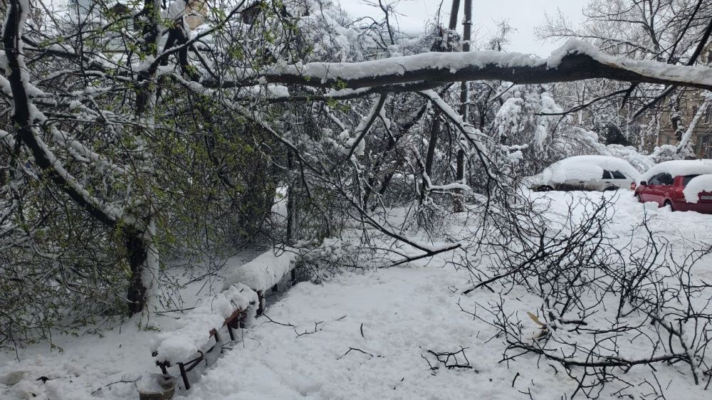 ������� ������� ������ ������ �����