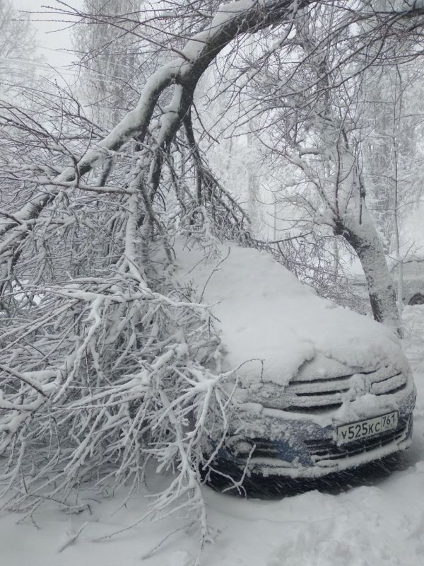 ������������ �� ������� �������� � ����