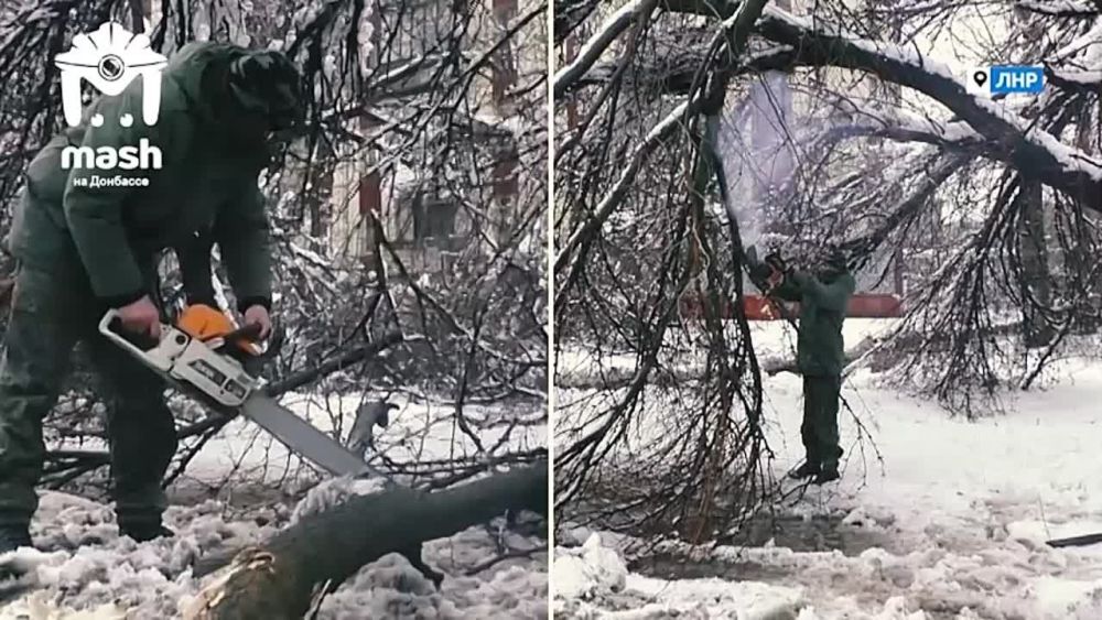 � �������� ������-������� �������, �� ������ ������� ������ �������