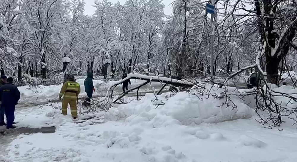 ������������� �������� � ��� ��� ����������� ����������� ������� ������