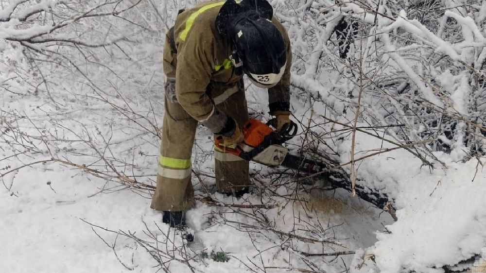 �������������� ��� �������� ������������ �� ������� �� ������ ���������� ��� ������ �������������