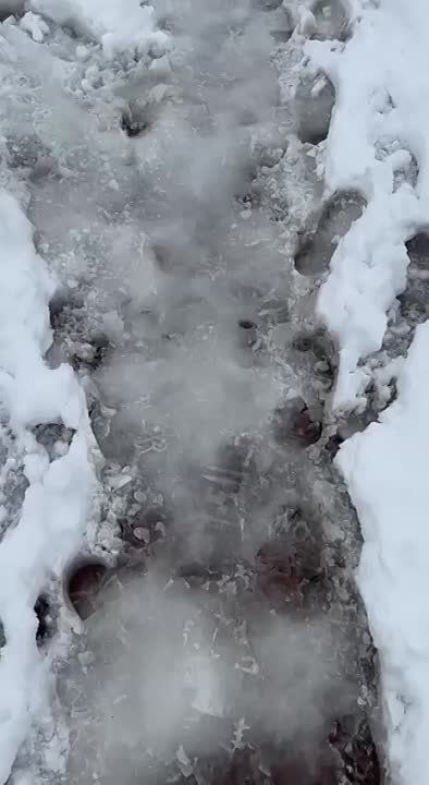 ��� ��� ����� ������������� ����� �������� �� ��. ��������� � ��������