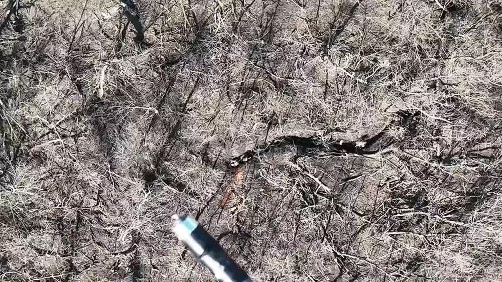 ������� 155-� ������� ����������� [V] ��������� �������� ���������� � ������� � ������ ��������� ������� �� ����������� �����������