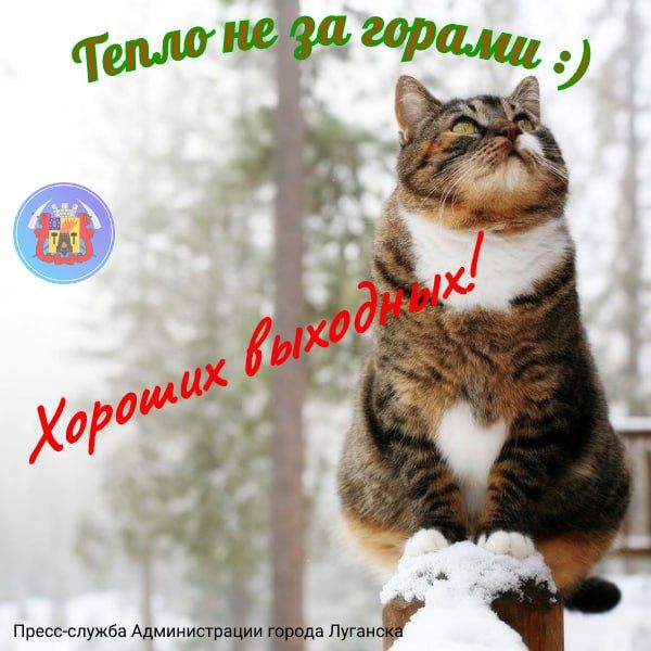 #������� #��������