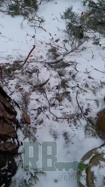 "��������" ��� �� ����� ������ ��� � ����� �����