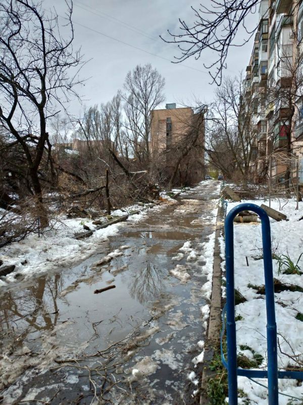 Родион Мирошник: Последствия стихии в Луганске